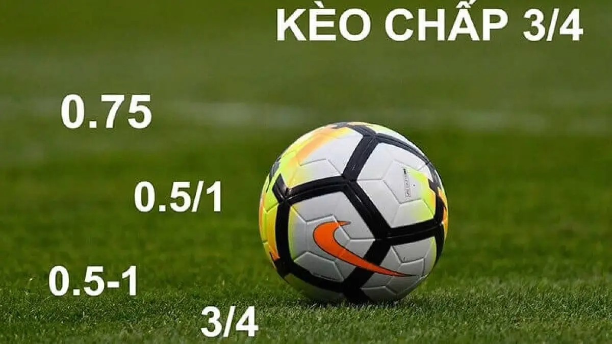 Hướng dẫn cách đọc kèo bóng đá chi tiết cho người mới bắt đầu 2 Kèo Châu Á rất phổ biến trong bóng đá